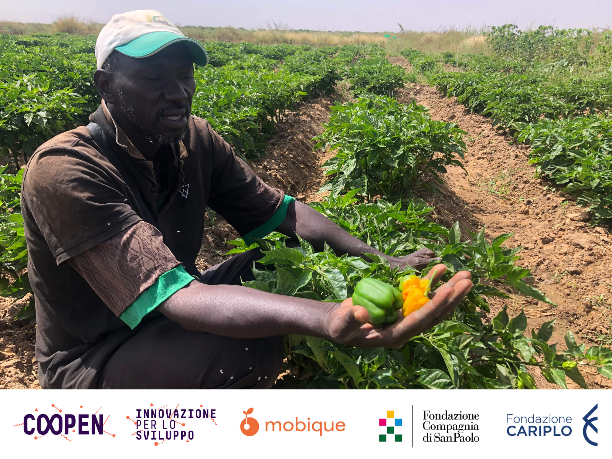 Sénégal, quel avenir pour l'économie des villages agricoles? - Engim ...