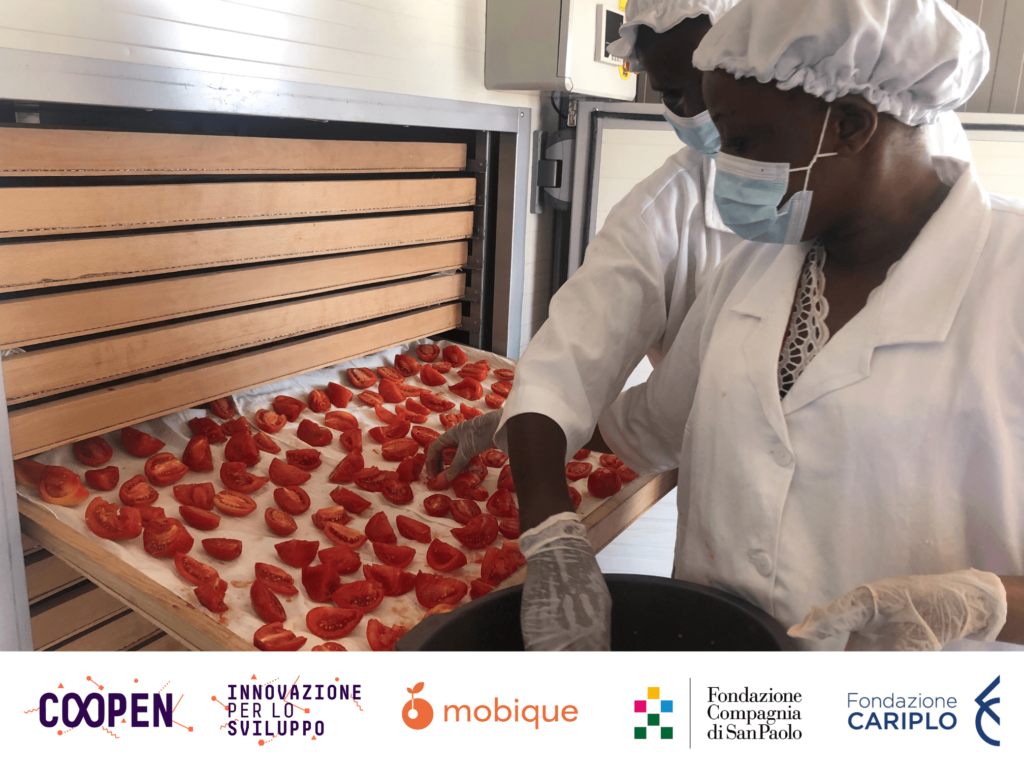 Formazione nel progetto Agro impresa per lo sviluppo sostenibile del Senegal
