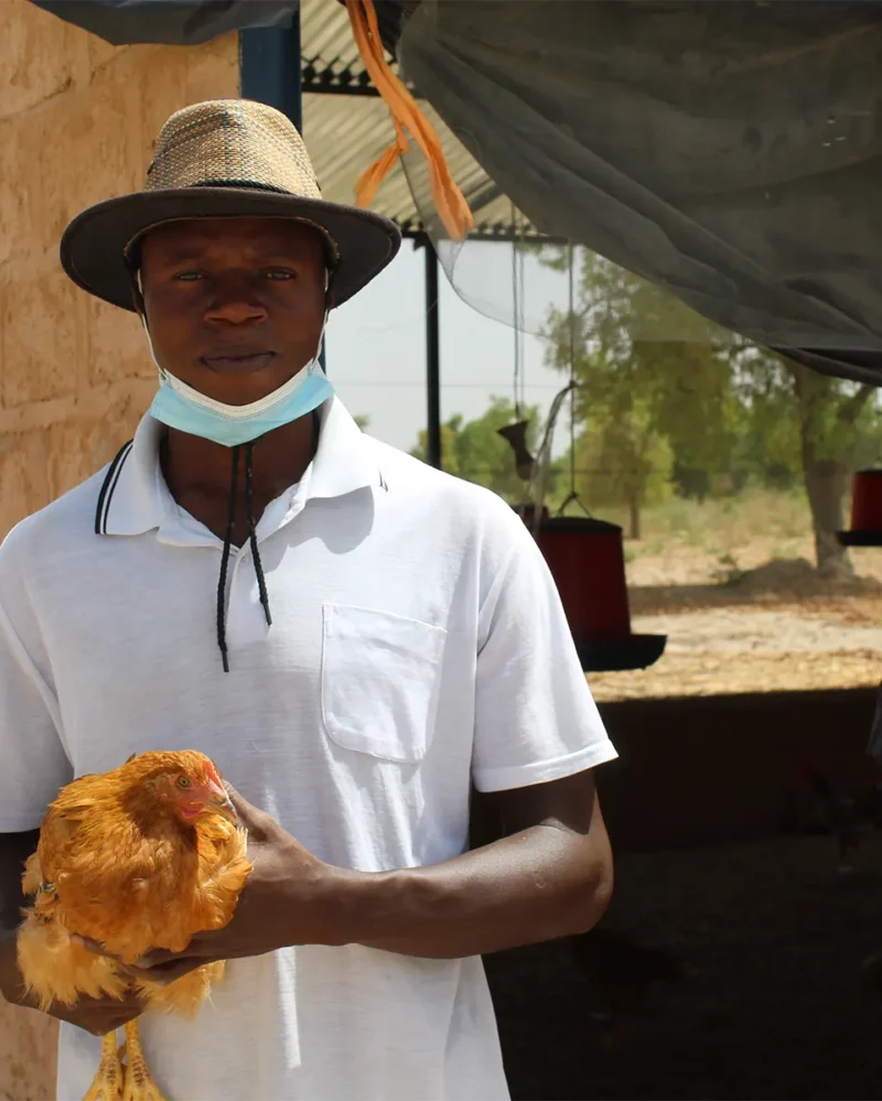 Gaoussou – Ferme Avicole